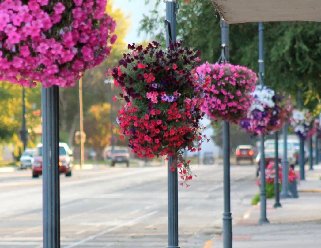 Lovell, Wyoming